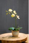 decorative artificial silk flower arrangements p006